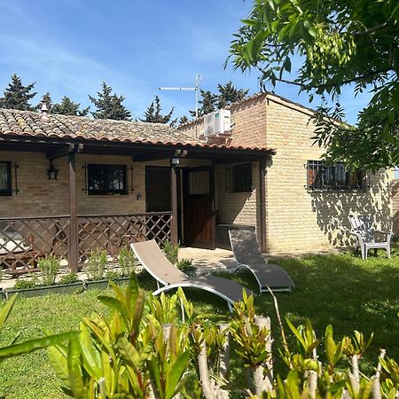 La Capparuccia Apartment Civitanova Marche Bagian luar foto