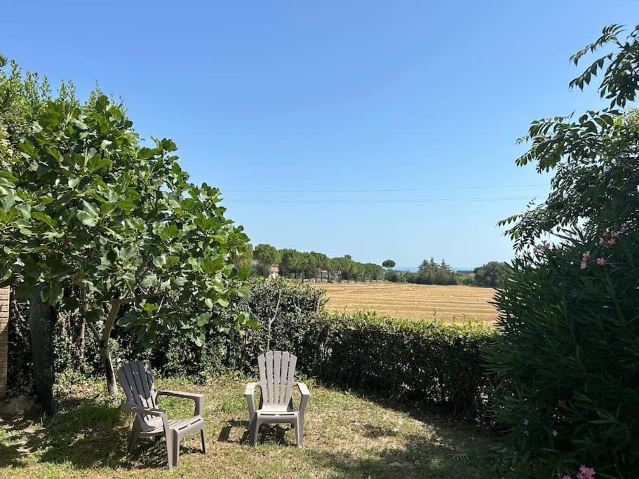 La Capparuccia Apartment Civitanova Marche Bagian luar foto