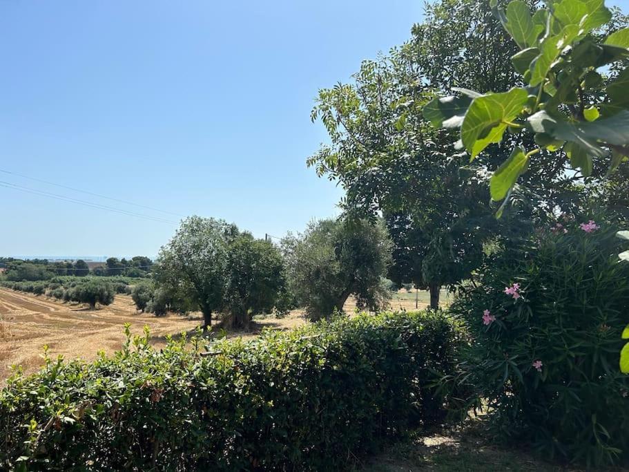 La Capparuccia Apartment Civitanova Marche Bagian luar foto